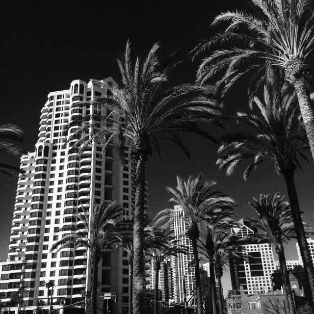 Wealth & Property